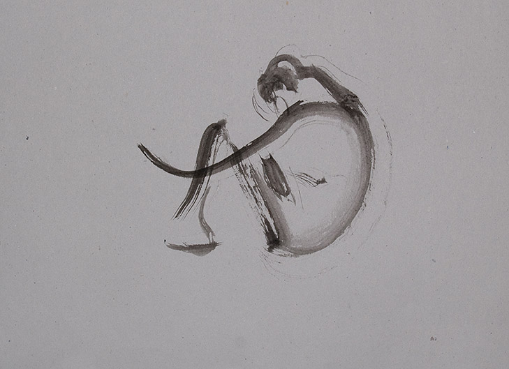 Spiral I. Dibujo original. Original drawing.