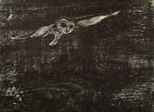 Coruja/Lechuza. Xilograbado de lechuza. Woodcut, and Owl flying.